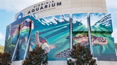 Virginia Aquarium & Marine Science Center: Thủy cung mê hoặc với vô vàn sinh vật biển và trải nghiệm giáo dục thú vị!